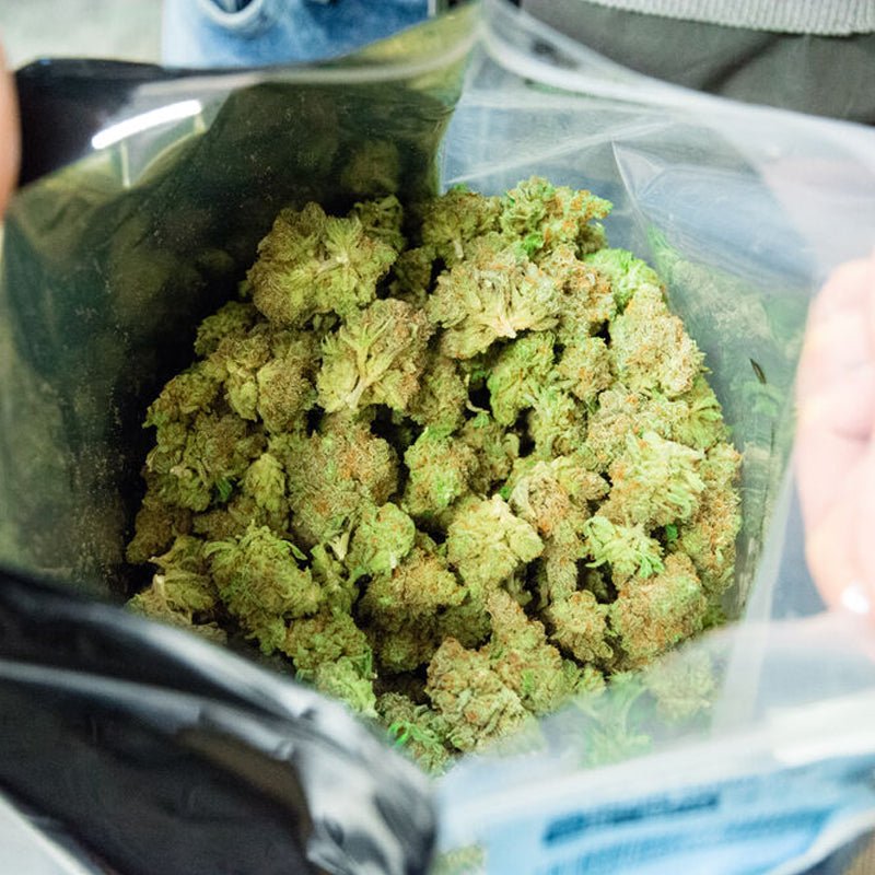 Storing Weed Mylar Bags